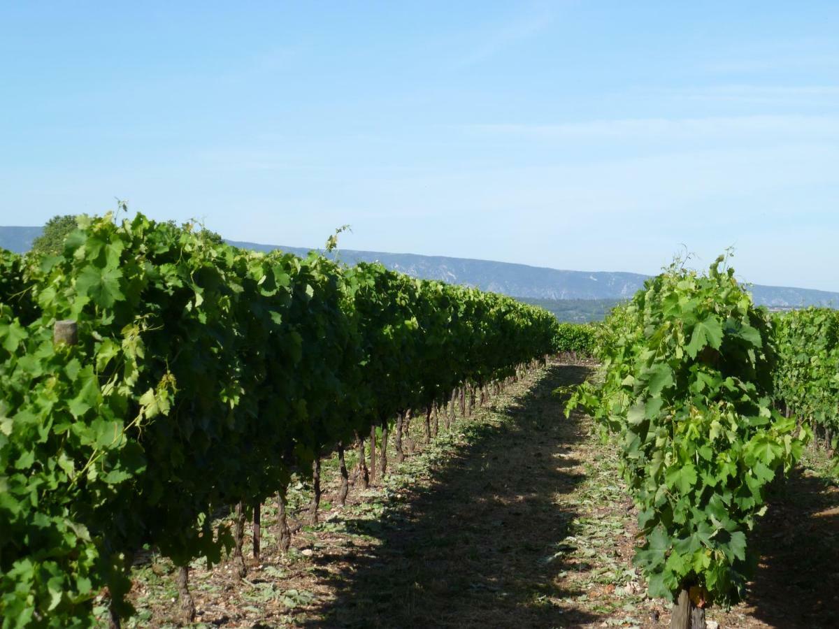Luberon & Lavandes Roussillon en Isere Kültér fotó